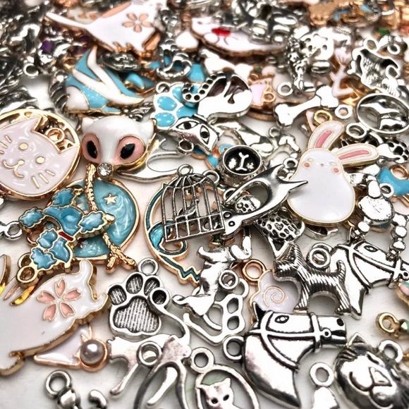 56 PET & Animal CHARMS  Bracelets Keychains Jump Rings DIY Jewelry Making Bundle - Picture 11 of 13